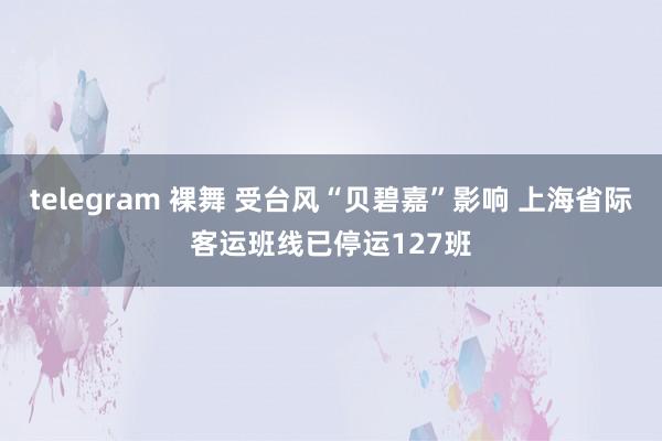 telegram 裸舞 受台风“贝碧嘉”影响 上海省际客运班线已停运127班