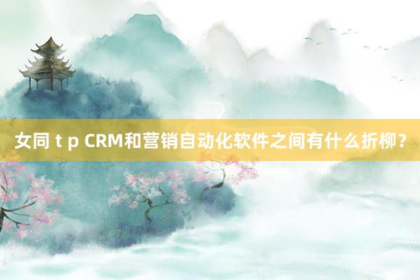 女同 t p CRM和营销自动化软件之间有什么折柳？