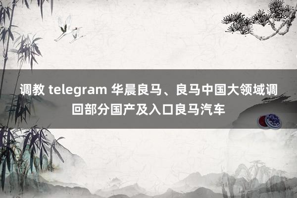 调教 telegram 华晨良马、良马中国大领域调回部分国产及入口良马汽车