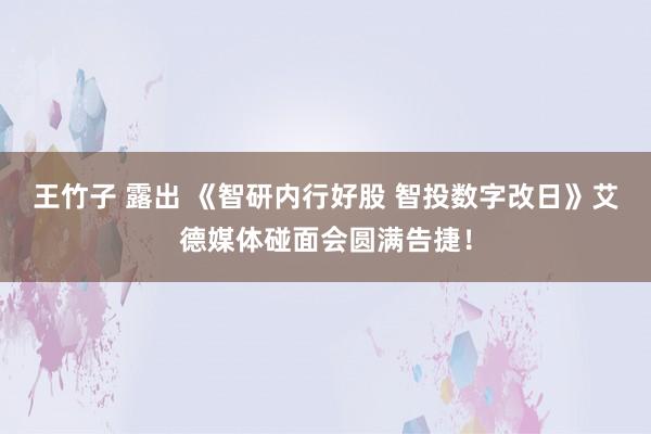 王竹子 露出 《智研内行好股 智投数字改日》艾德媒体碰面会圆满告捷！