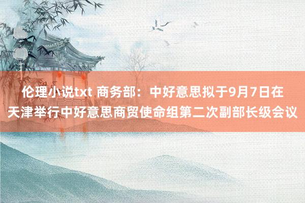 伦理小说txt 商务部：中好意思拟于9月7日在天津举行中好意思商贸使命组第二次副部长级会议