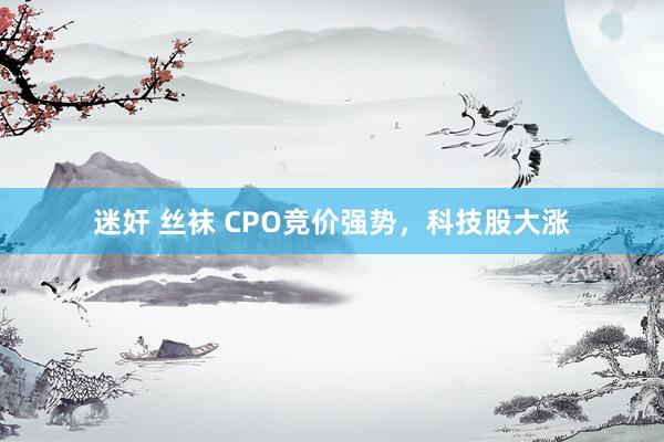 迷奸 丝袜 CPO竞价强势，科技股大涨