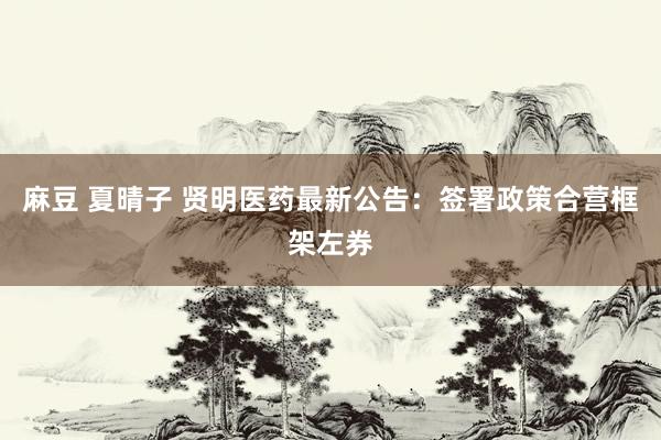 麻豆 夏晴子 贤明医药最新公告：签署政策合营框架左券