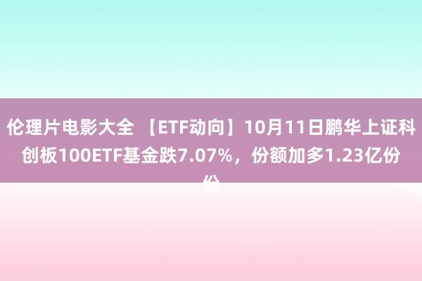 伦理片电影大全 【ETF动向】10月11日鹏华上证科创板100ETF基金跌7.07%，份额加多1.23亿份