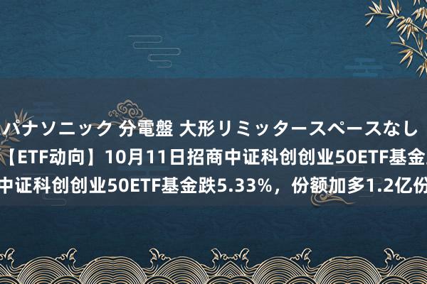 パナソニック 分電盤 大形リミッタースペースなし 露出・半埋込両用形 【ETF动向】10月11日招商中证科创创业50ETF基金跌5.33%，份额加多1.2亿份