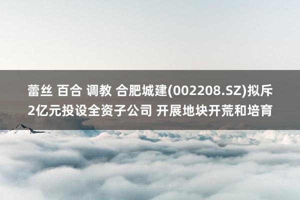 蕾丝 百合 调教 合肥城建(002208.SZ)拟斥2亿元投设全资子公司 开展地块开荒和培育