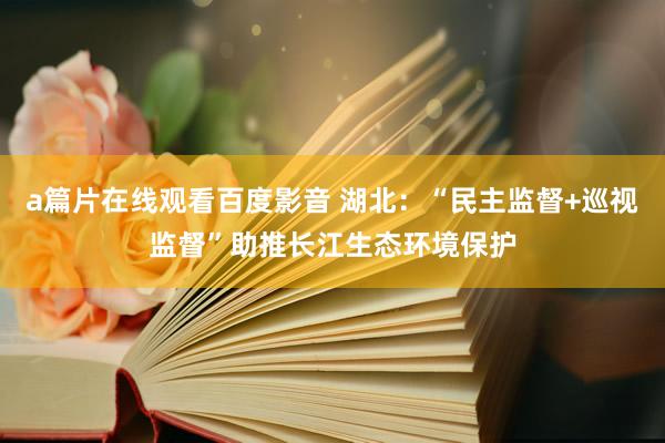 a篇片在线观看百度影音 湖北：“民主监督+巡视监督”助推长江生态环境保护