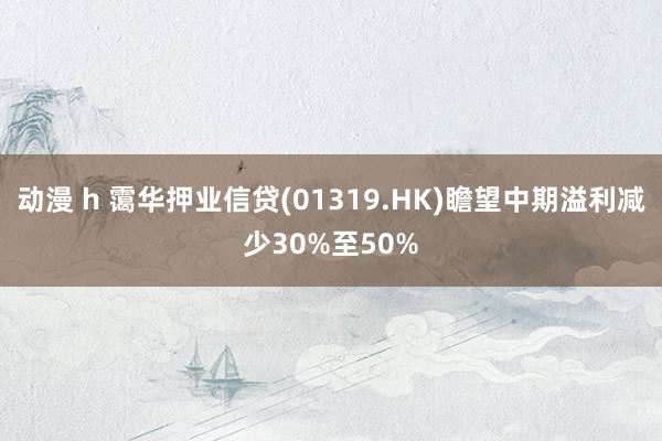 动漫 h 霭华押业信贷(01319.HK)瞻望中期溢利减少30%至50%