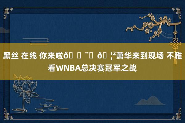 黑丝 在线 你来啦👨‍🦲萧华来到现场 不雅看WNBA总决赛冠军之战