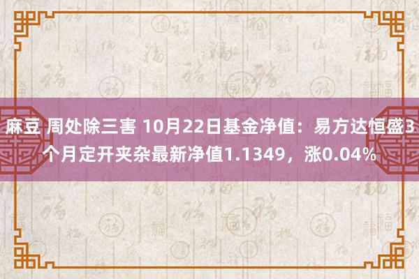 麻豆 周处除三害 10月22日基金净值：易方达恒盛3个月定开夹杂最新净值1.1349，涨0.04%