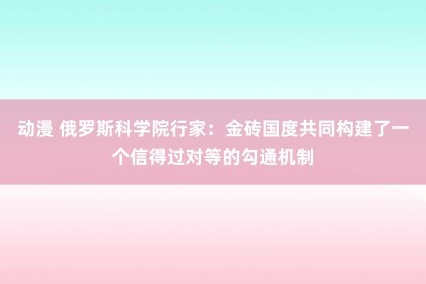 动漫 俄罗斯科学院行家：金砖国度共同构建了一个信得过对等的勾通机制