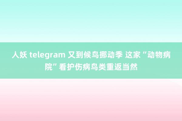 人妖 telegram 又到候鸟挪动季 这家“动物病院”看护伤病鸟类重返当然