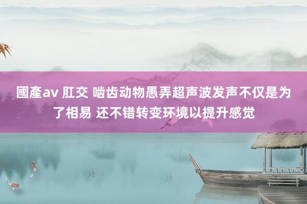 國產av 肛交 啮齿动物愚弄超声波发声不仅是为了相易 还不错转变环境以提升感觉