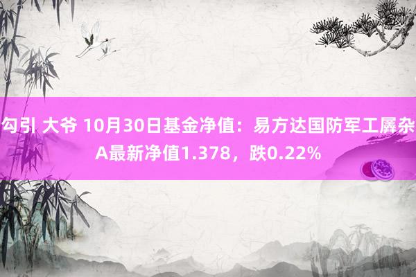 勾引 大爷 10月30日基金净值：易方达国防军工羼杂A最新净值1.378，跌0.22%