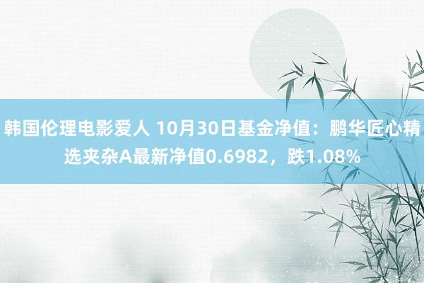 韩国伦理电影爱人 10月30日基金净值：鹏华匠心精选夹杂A最新净值0.6982，跌1.08%