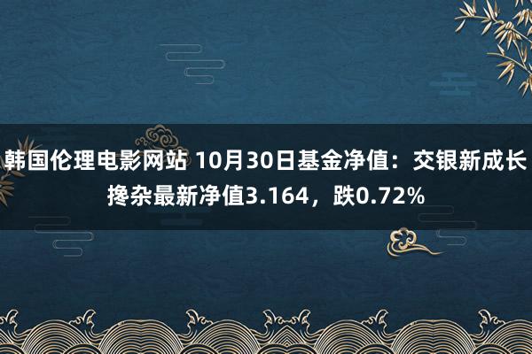 韩国伦理电影网站 10月30日基金净值：交银新成长搀杂最新净值3.164，跌0.72%