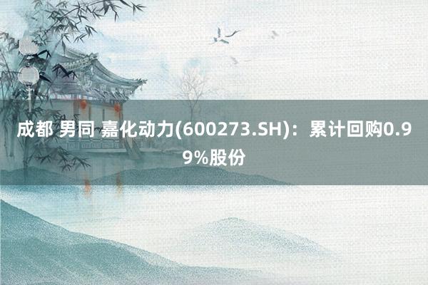 成都 男同 嘉化动力(600273.SH)：累计回购0.99%股份