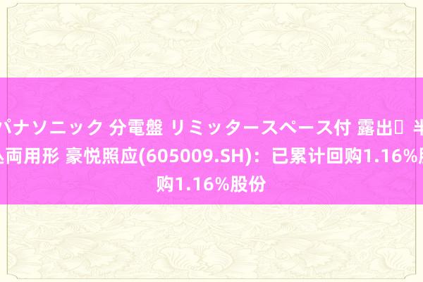 パナソニック 分電盤 リミッタースペース付 露出・半埋込両用形 豪悦照应(605009.SH)：已累计回购1.16%股份