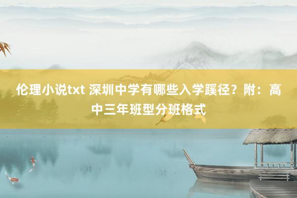 伦理小说txt 深圳中学有哪些入学蹊径？附：高中三年班型分班格式