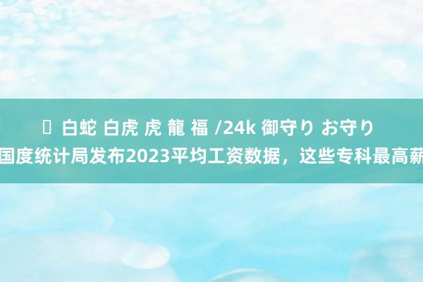 ✨白蛇 白虎 虎 龍 福 /24k 御守り お守り 国度统计局发布2023平均工资数据，这些专科最高薪