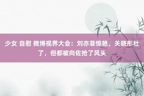 少女 自慰 微博视界大会：刘亦菲惊艳，关晓彤壮了，但都被向佐抢了风头