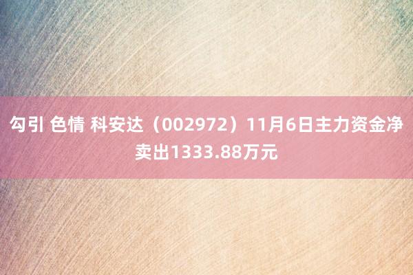 勾引 色情 科安达（002972）11月6日主力资金净卖出1333.88万元