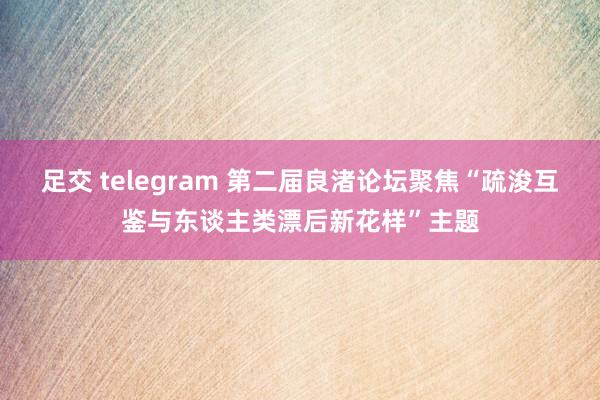 足交 telegram 第二届良渚论坛聚焦“疏浚互鉴与东谈主类漂后新花样”主题