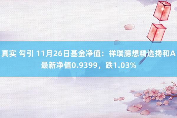 真实 勾引 11月26日基金净值：祥瑞臆想精选搀和A最新净值0.9399，跌1.03%