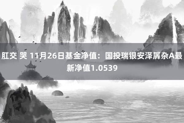 肛交 哭 11月26日基金净值：国投瑞银安泽羼杂A最新净值1.0539