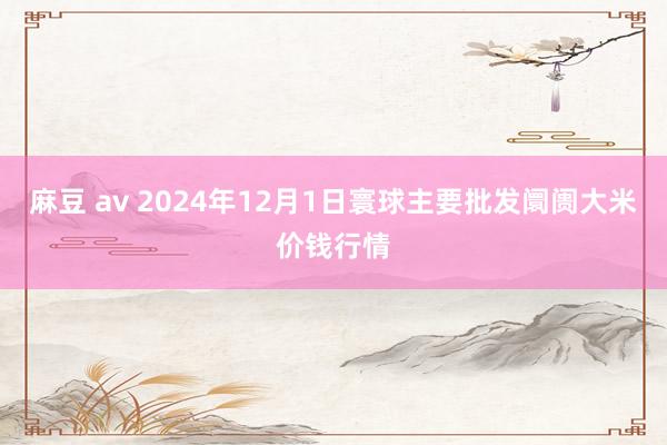 麻豆 av 2024年12月1日寰球主要批发阛阓大米价钱行情