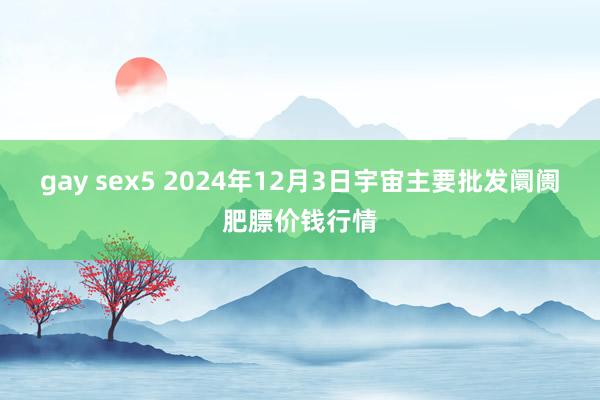 gay sex5 2024年12月3日宇宙主要批发阛阓肥膘价钱行情