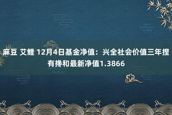 麻豆 艾鲤 12月4日基金净值：兴全社会价值三年捏有搀和最新净值1.3866