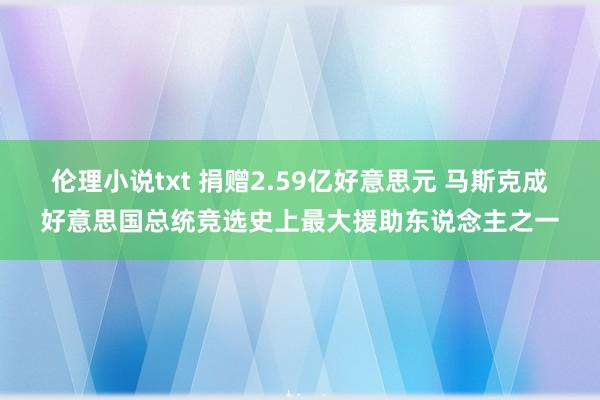 伦理小说txt 捐赠2.59亿好意思元 马斯克成好意思国总统竞选史上最大援助东说念主之一