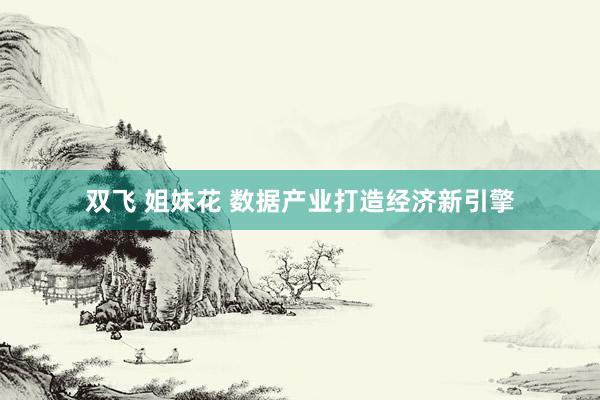 双飞 姐妹花 数据产业打造经济新引擎