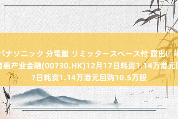 パナソニック 分電盤 リミッタースペース付 露出・半埋込両用形 首惠产业金融(00730.HK)12月17日耗资1.14万港元回购10.5万股