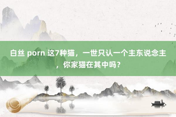 白丝 porn 这7种猫，一世只认一个主东说念主，你家猫在其中吗？