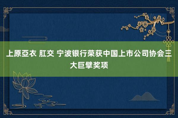 上原亞衣 肛交 宁波银行荣获中国上市公司协会三大巨擘奖项