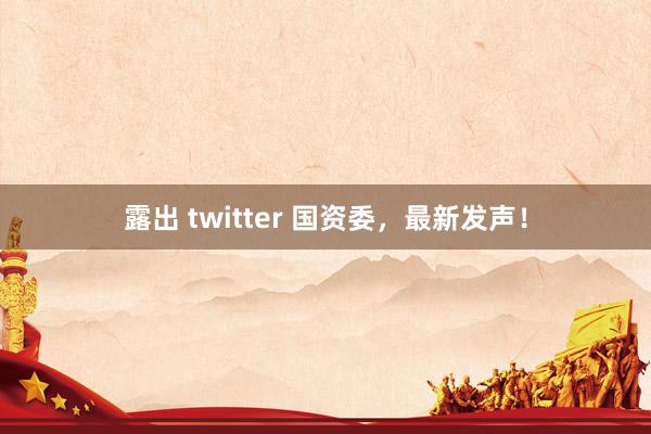 露出 twitter 国资委，最新发声！