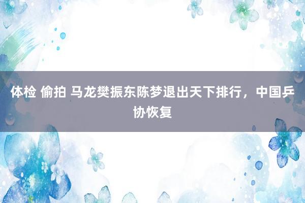 体检 偷拍 马龙樊振东陈梦退出天下排行，中国乒协恢复