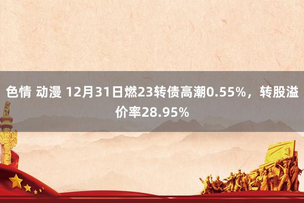 色情 动漫 12月31日燃23转债高潮0.55%，转股溢价率28.95%