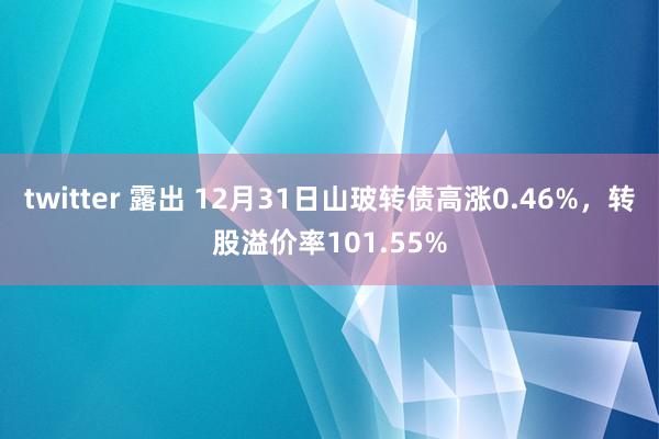 twitter 露出 12月31日山玻转债高涨0.46%，转股溢价率101.55%