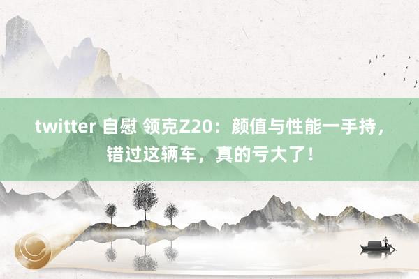 twitter 自慰 领克Z20：颜值与性能一手持，错过这辆车，真的亏大了！