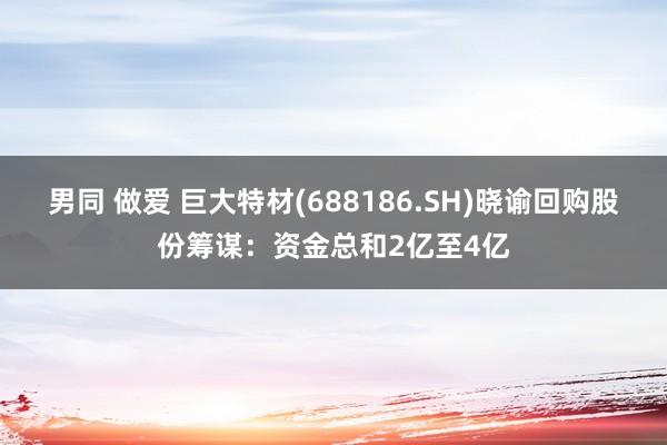 男同 做爱 巨大特材(688186.SH)晓谕回购股份筹谋：资金总和2亿至4亿