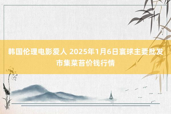 韩国伦理电影爱人 2025年1月6日寰球主要批发市集菜苔价钱行情