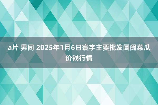 a片 男同 2025年1月6日寰宇主要批发阛阓菜瓜价钱行情