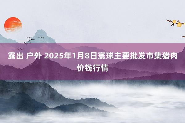 露出 户外 2025年1月8日寰球主要批发市集猪肉价钱行情