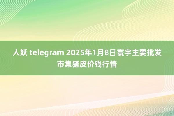 人妖 telegram 2025年1月8日寰宇主要批发市集猪皮价钱行情