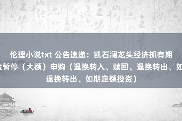 伦理小说txt 公告速递：凯石澜龙头经济抓有期搀杂基金基金暂停（大额）申购（退换转入、赎回、退换转出、如期定额投资）