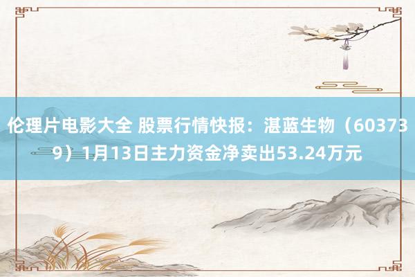 伦理片电影大全 股票行情快报：湛蓝生物（603739）1月13日主力资金净卖出53.24万元