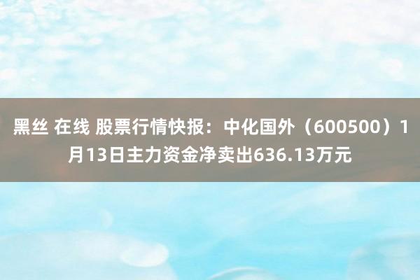 黑丝 在线 股票行情快报：中化国外（600500）1月13日主力资金净卖出636.13万元